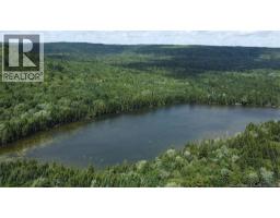 Big Salmon River Road, photo 2