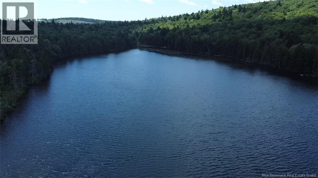 Big Salmon River Road
