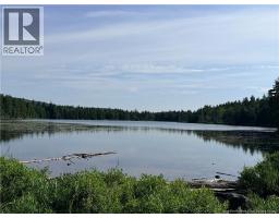 Big Salmon River Road, photo 3