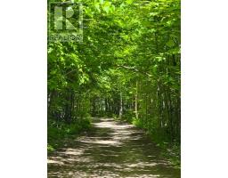 17 Lizzie's Lane, Mckellar, ON P2A0B4 Photo 35