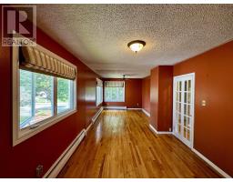 39 Napean St., Port Hawkesbury, NS B9A1P2 Photo 14