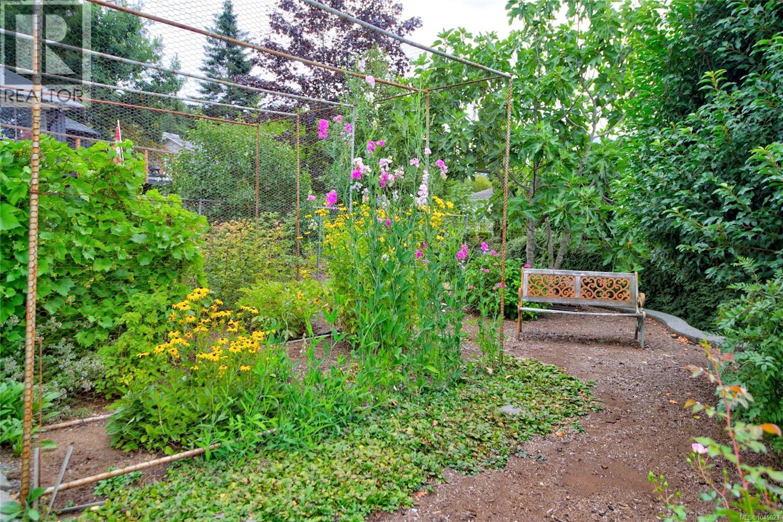 356 Rees Rd - 65