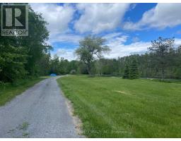 4909 Holborn Road, East Gwillimbury, ON L0G1M0 Photo 11