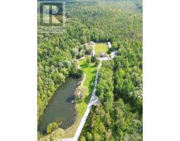 4909 Holborn Road, East Gwillimbury, ON L0G1M0 Photo 15