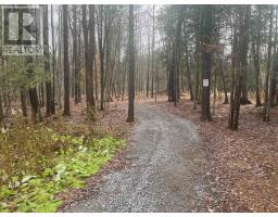 4909 Holborn Road, East Gwillimbury, ON L0G1M0 Photo 17