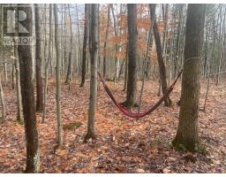 4909 Holborn Road, East Gwillimbury, ON L0G1M0 Photo 18
