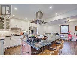 4909 Holborn Road, East Gwillimbury, ON L0G1M0 Photo 25