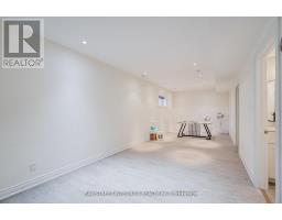 4909 Holborn Road, East Gwillimbury, ON L0G1M0 Photo 38