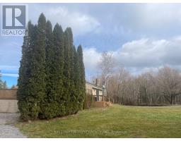 4909 Holborn Road, East Gwillimbury, ON L0G1M0 Photo 39