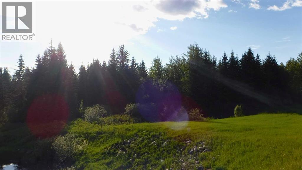 0 Highway 43 - Photo 6