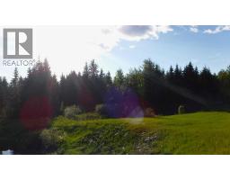 Highway 43, Rural Greenview No  16, M D  Of, AB T0H3N0 Photo 6