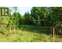 Highway 43, Rural Greenview No  16, M D  Of, AB T0H3N0 Photo 7