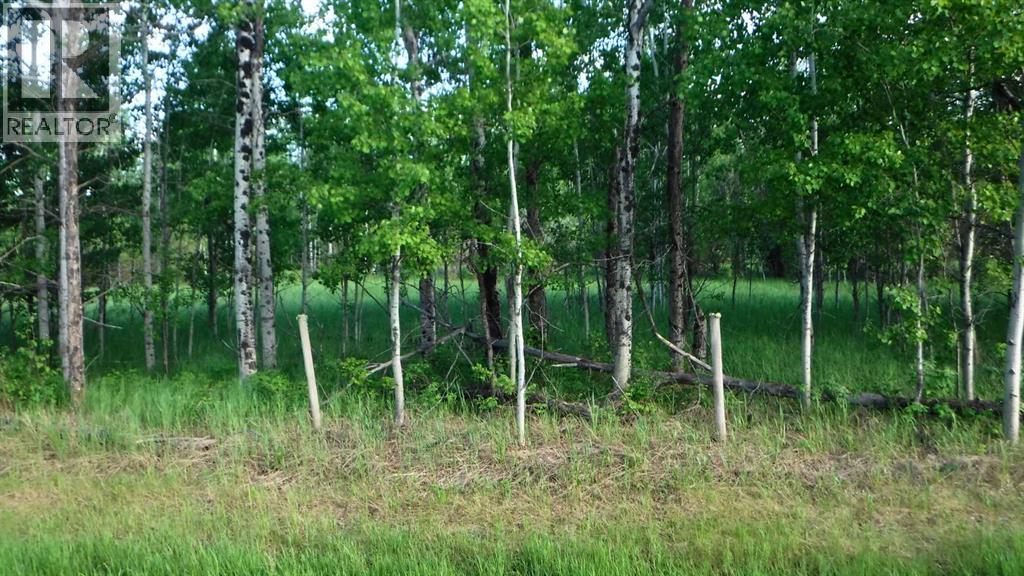 0 Highway 43 - Photo 9