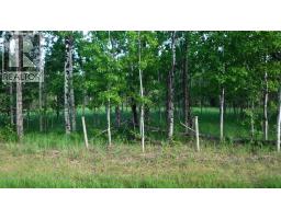 Highway 43, Rural Greenview No  16, M D  Of, AB T0H3N0 Photo 9