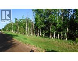 Highway 43, Rural Greenview No  16, M D  Of, AB T0H3N0 Photo 10