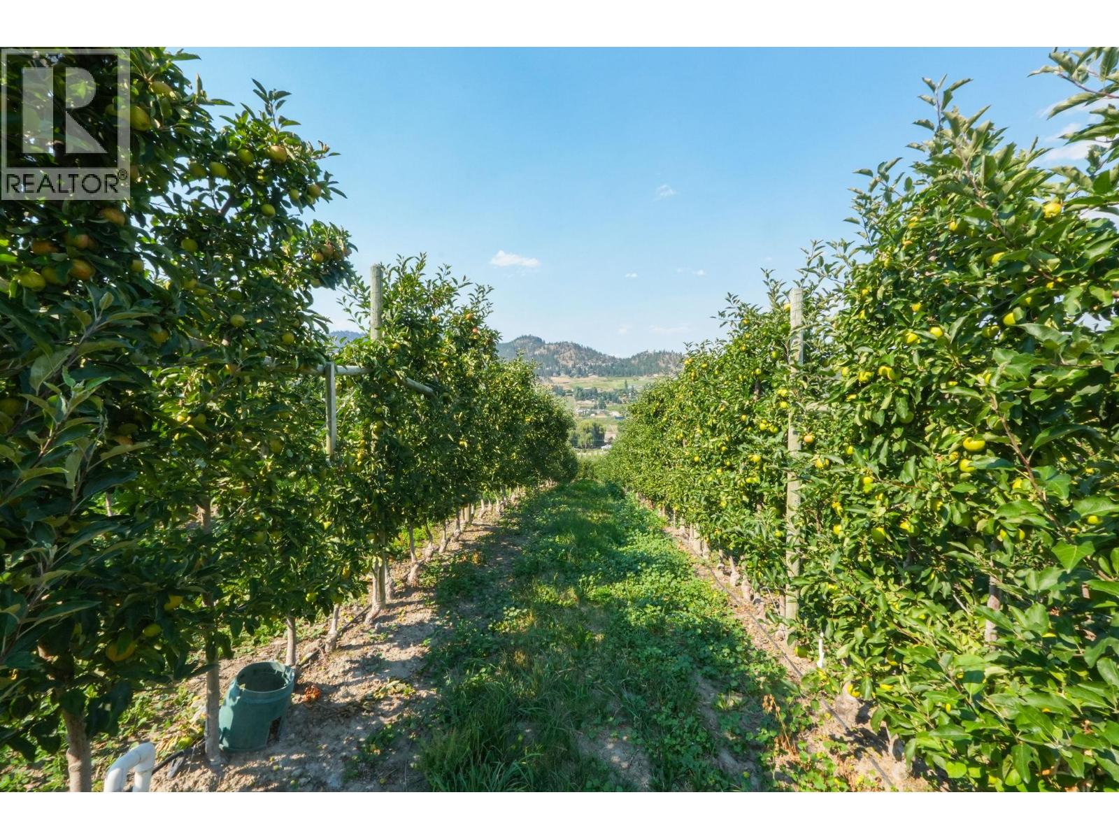 9827 Gillard Avenue, Summerland
