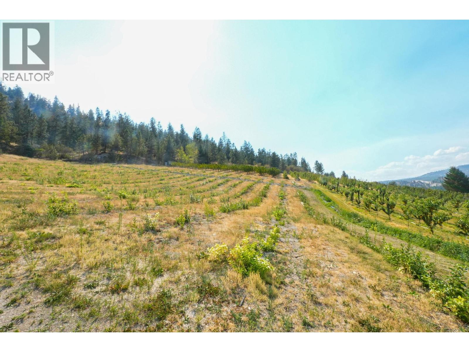 9827 Gillard Avenue, Summerland