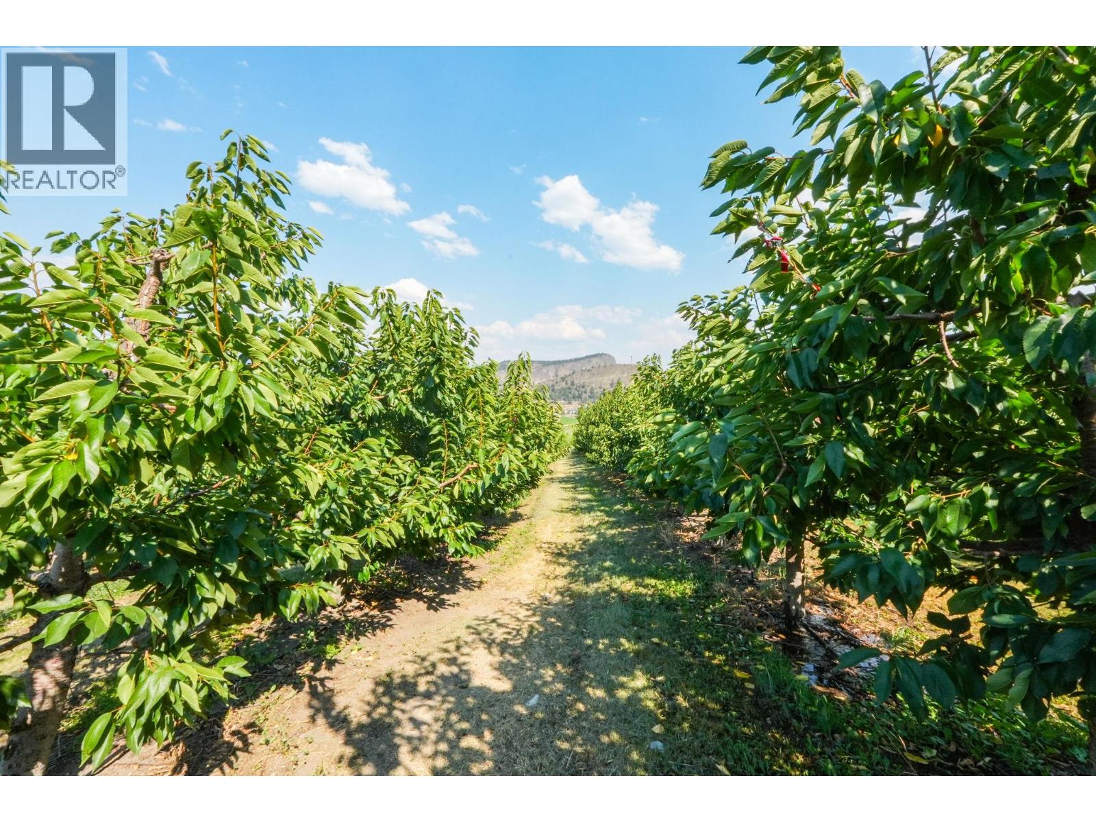 9827 Gillard Avenue, Summerland