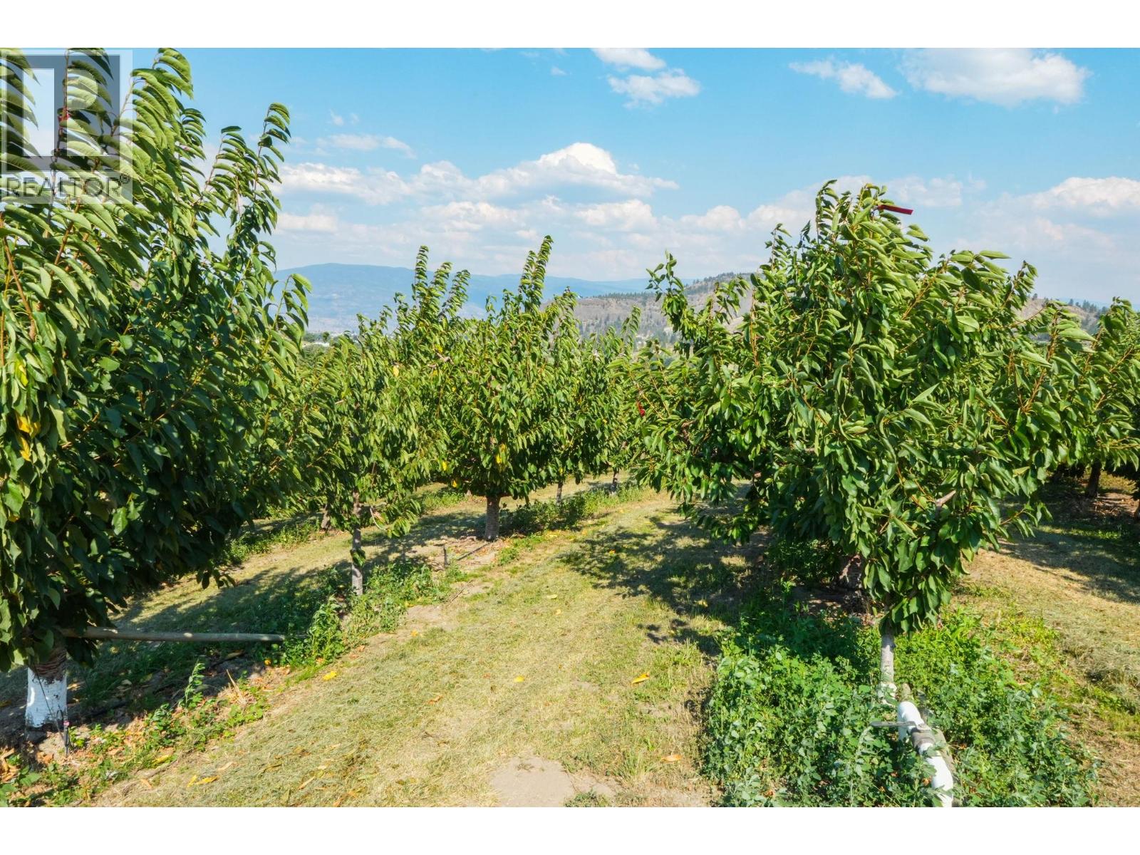 9827 Gillard Avenue, Summerland