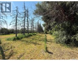 South Eston Acreage Se-04-25-25-20w3, Snipe Lake Rm No  259, SK S0L1A0 Photo 50