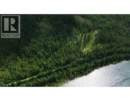 Lasca Creek Road Lot# 3, Harrop, BC V1L6P7 Photo 11