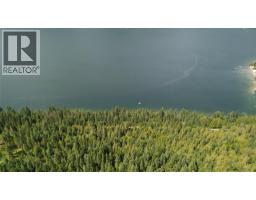 Lasca Creek Road Lot# 3, Harrop, BC V1L6P7 Photo 6
