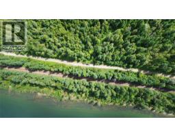 Lasca Creek Road Lot# 3, Harrop, BC V1L6P7 Photo 8