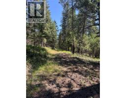 Lot B Stropky Road, Cranbrook, BC V1C6X6 Photo 18