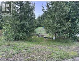 153 Rosebery Road, New Denver, BC V0G1S1 Photo 16