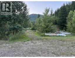 153 Rosebery Road, New Denver, BC V0G1S1 Photo 17