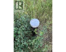 153 Rosebery Road, New Denver, BC V0G1S1 Photo 24