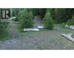 153 Rosebery Road, New Denver, BC V0G1S1 Photo 14
