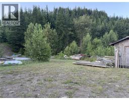 153 Rosebery Road, New Denver, BC V0G1S1 Photo 18