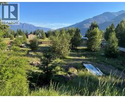 153 Rosebery Road, New Denver, BC V0G1S1 Photo 11