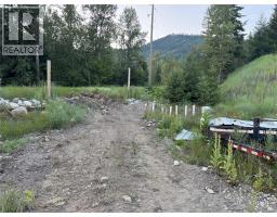 153 Rosebery Road, New Denver, BC V0G1S1 Photo 22