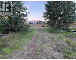153 Rosebery Road, New Denver, BC V0G1S1 Photo 23