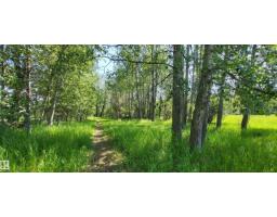 Twp 491 Range Road 73, Rural Brazeau County, AB T7A2A2 Photo 6