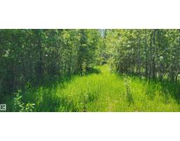 Twp 491 Range Road 73, Rural Brazeau County, AB T7A2A2 Photo 8