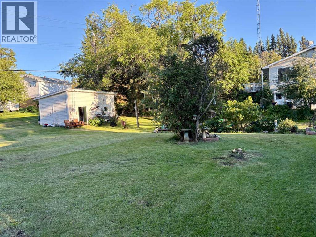 4811 52 Street - 19