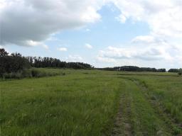 104146 Pth 16 Road, Minnedosa, MB R0J1E0 Photo 6