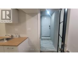 Lower Level - 623 Dupont Street, Toronto, ON M6G1Z3 Photo 8
