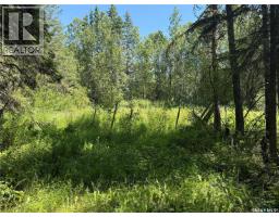 Rest A While Acreage, Paddockwood Rm No  520, SK S0J3E0 Photo 14