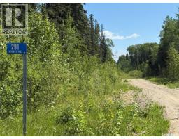 Rest A While Acreage, Paddockwood Rm No  520, SK S0J3E0 Photo 47