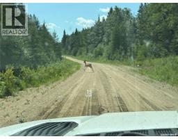Rest A While Acreage, Paddockwood Rm No  520, SK S0J3E0 Photo 48