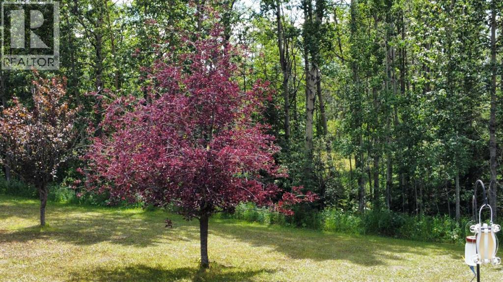 34280 Range Road 41 - Photo 20