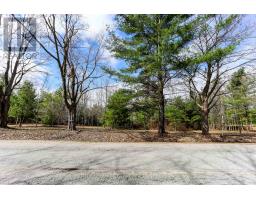 2790 Old Second Road S, Springwater, ON L9X1P6 Photo 13