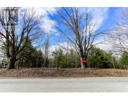 2790 Old Second Road S, Springwater, ON L9X1P6 Photo 15