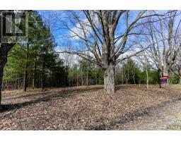 2790 Old Second Road S, Springwater, ON L9X1P6 Photo 16
