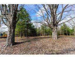 2790 Old Second Road S, Springwater, ON L9X1P6 Photo 17