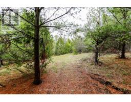 2790 Old Second Road S, Springwater, ON L9X1P6 Photo 19